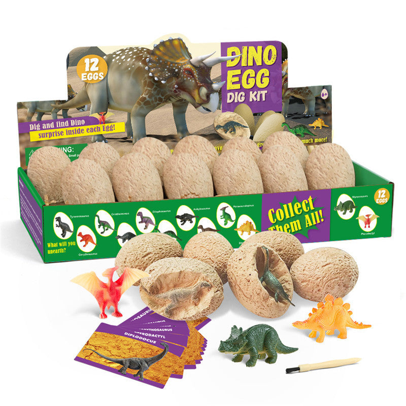 Dinosaur Egg Archaeological Excavation Tyrannosaurus  Simulation Dinosaur Model